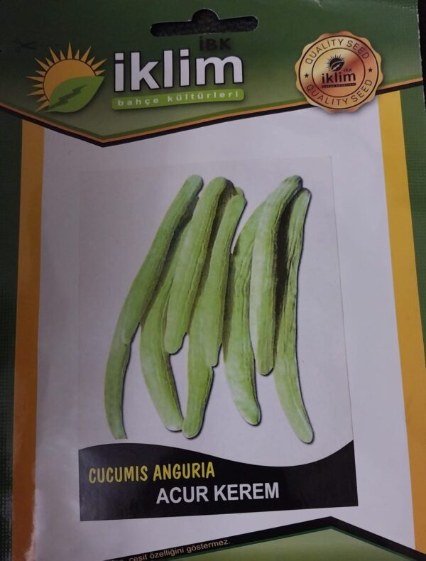 Acur Kerem Tohumu