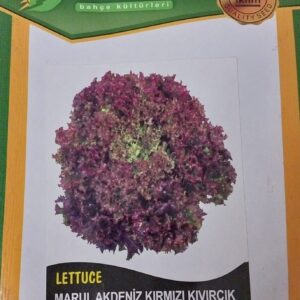 Marul Akdeniz Kırmızı Kıvırcık Tohumu