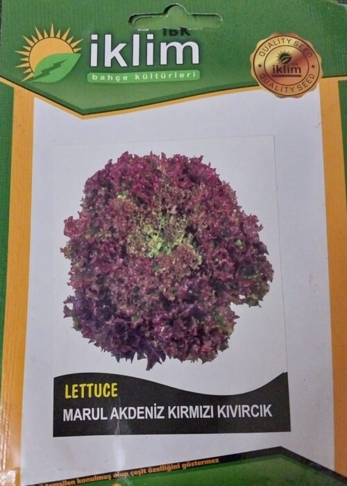 Marul Akdeniz Kırmızı Kıvırcık Tohumu