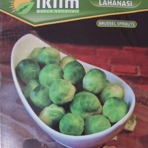 Marul Akdeniz Kırmızı Kıvırcık Tohumu