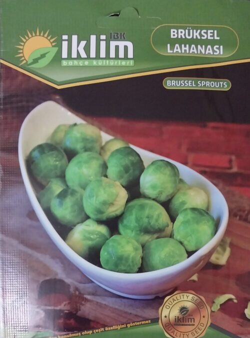 Brüksel Lahanası