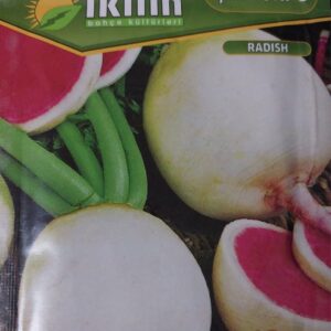 Çin Turpu Tohumu