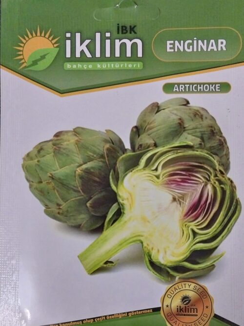 Enginar Tohumu