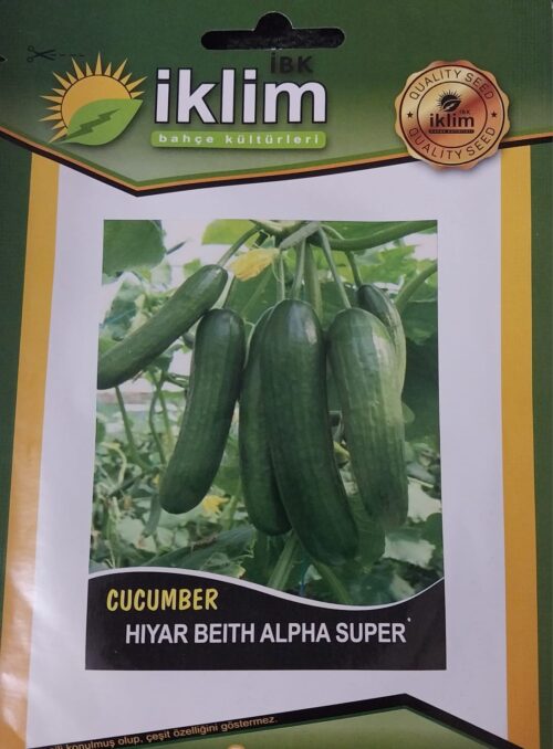 Beıth Alpha Hıyar Salatalık Tohumu