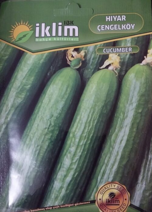 Çengelköy Salatalık Tohumu