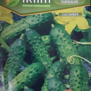 Havuç Nantes Tohumu