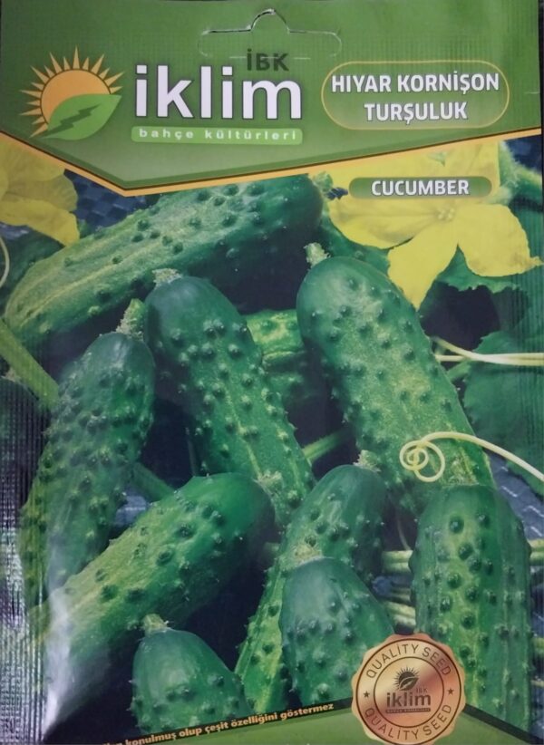 Kornişon Turşuluk Hıyar Tohumu