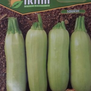 Havuç Nantes Tohumu