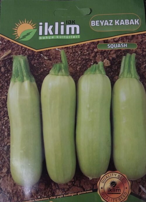 Beyaz Kabak Dolmalık Tohumu