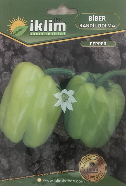 Dolmalık Biber Tohumu