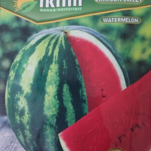Çin Turpu Tohumu