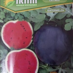 Çin Turpu Tohumu
