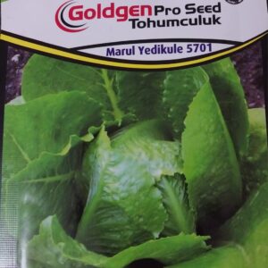 Marul Akdeniz Kırmızı Kıvırcık Tohumu