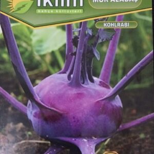 Patlıcan Pala Tohumu