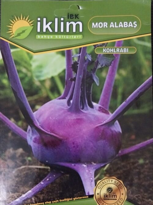 Mor Alabaş Tohumu