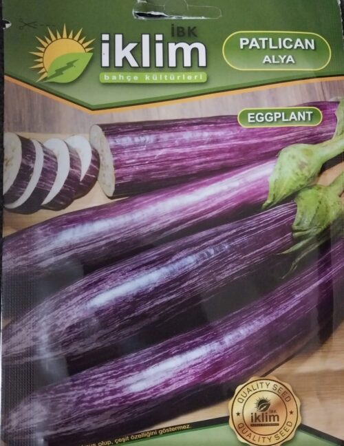 Patlıcan Mor Çizgili Tohumu