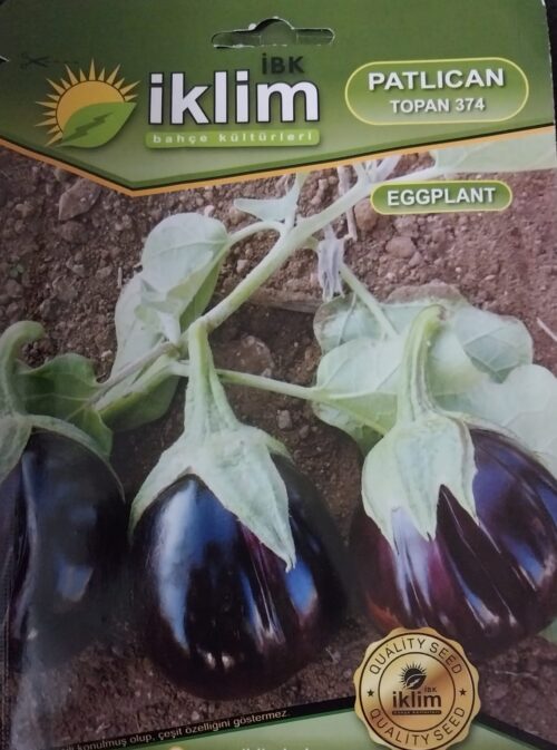 Top Patlıcan Tohumu