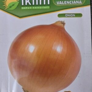 Marul Akdeniz Kırmızı Kıvırcık Tohumu
