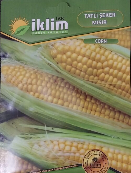 Şeker Mısır Tohumu