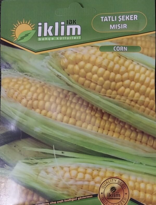 Şeker Mısır Tohumu