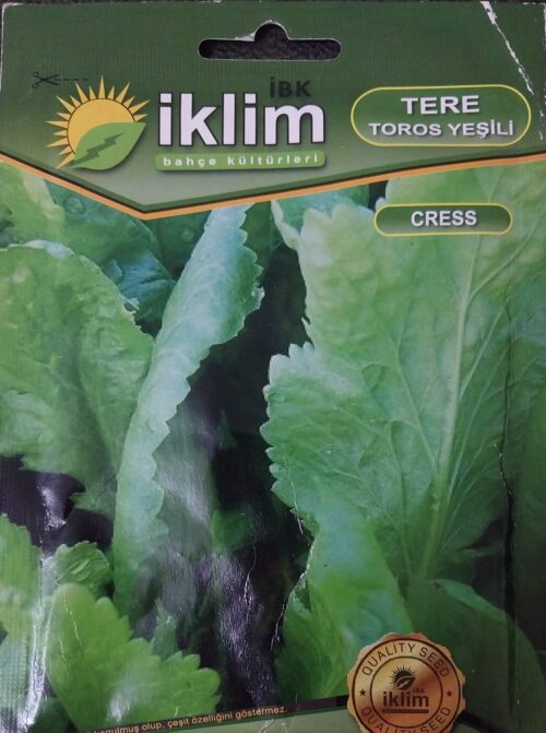 Tere Toros Yeşili Tohumu