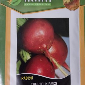 Kırmızı Pancar Tohumu