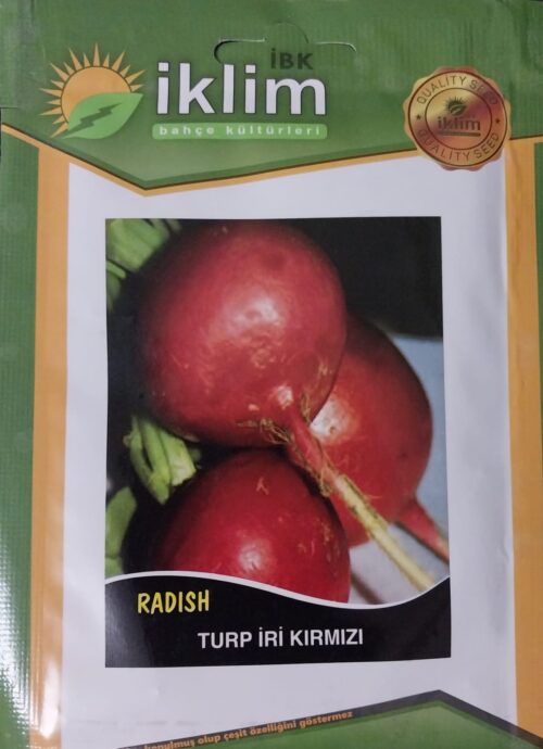 Turp İri Kırmızı Tohumu