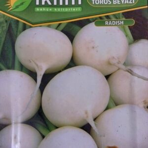 Çin Turpu Tohumu
