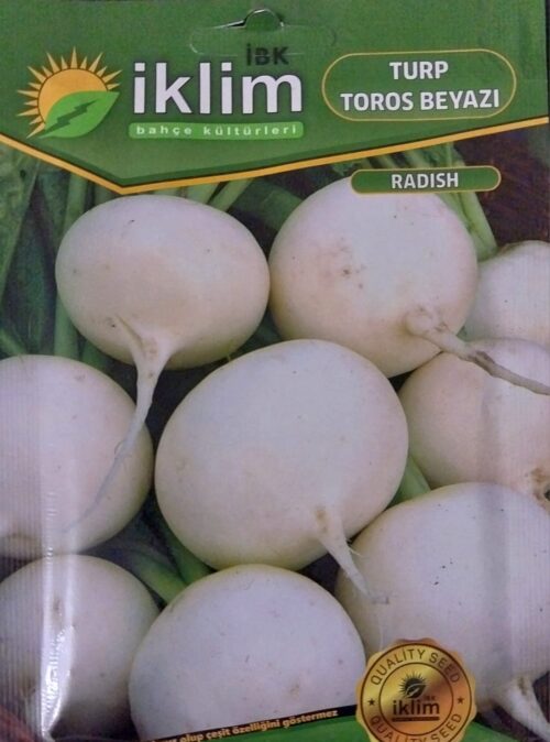 Turp Toros Beyazı Tohumu