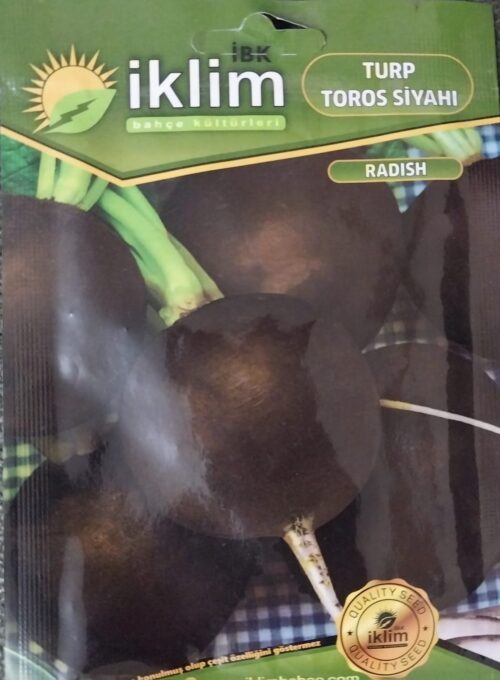 Turp Toros Siyahı Tohumu